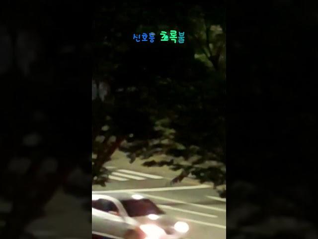 신호등 빨간불
