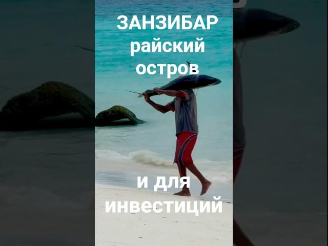 Рыбаки ЗАНЗИБАР #недвижимостьзаграницей#недвижимостьзарубежом#пассивныйдоход#недвижимость#внж#наюге
