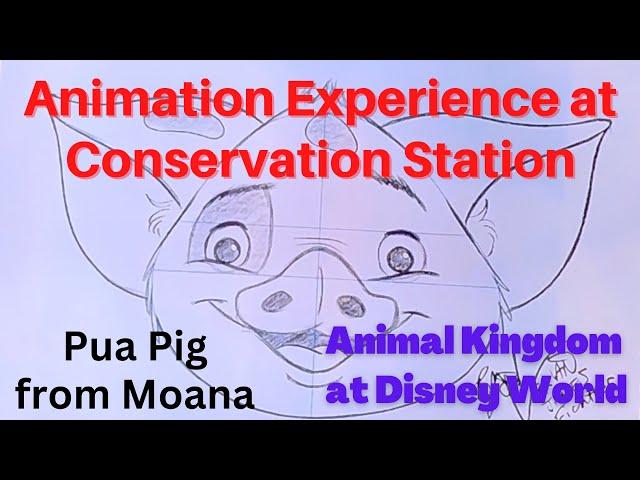 Animation Experience at Conservation Station - Animal Kingdom Disney World -  Sketching Pua the Pig