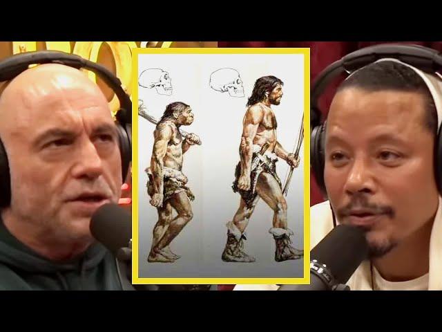 Joe Rogan: "Who's More Evolved?"