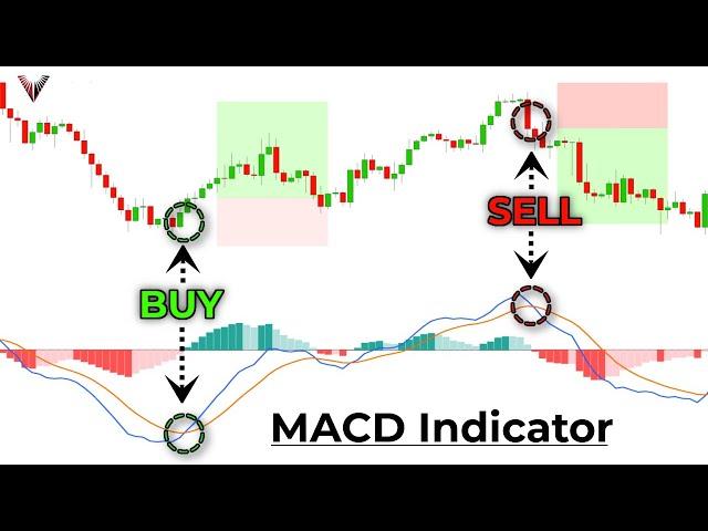 The MACD Indicator For Beginners [Become An Expert Immediately]