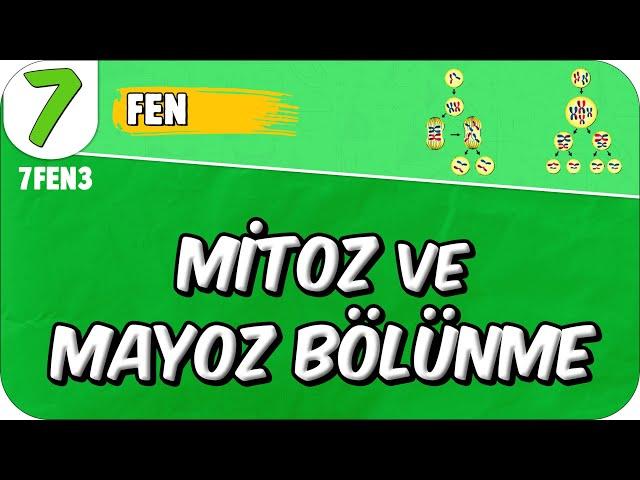 Mitoz ve Mayoz Bölünme  7FEN3 #2025