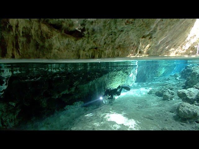 The Blind Cavefish | JONATHAN BIRD'S BLUE WORLD