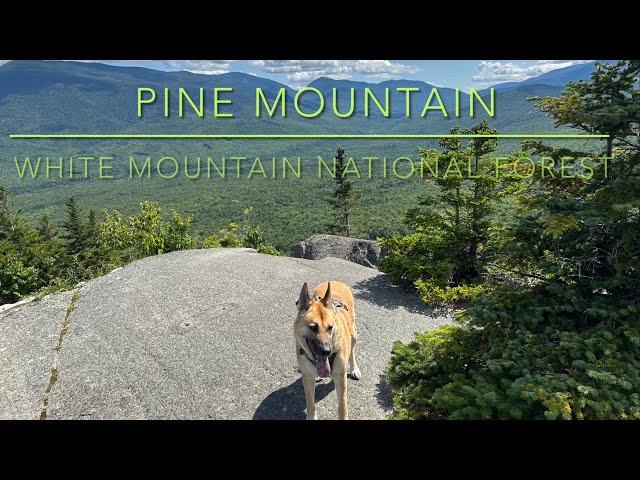 Pine Mountain /White Mountain National Forest /52WAV