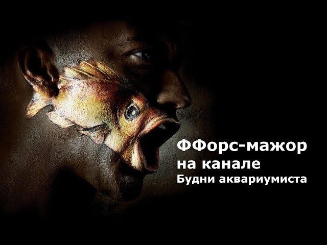 ФФорс мажор на канале Будни аквариумиста