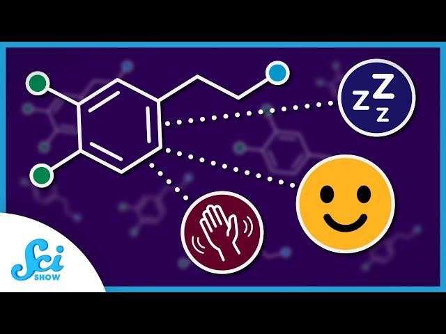 Dopamine Isn’t Just a Happy Chemical