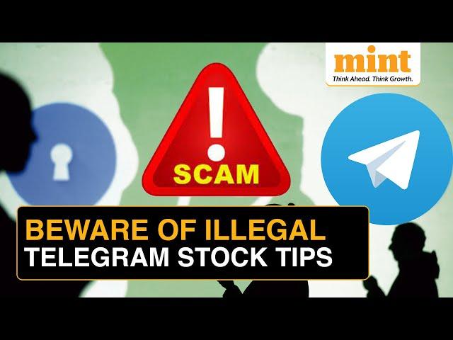 Inside The World Of Stock Market Tips On Telegram & Instagram | Mint Money