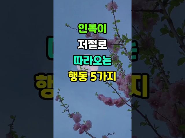 인복이 저절로 따라옵니다 #노후지혜 #삶의지혜 #인생조언 #명언 #인생명언 #인생 #철학 #조언 #지혜 #좋은글 #오디오북