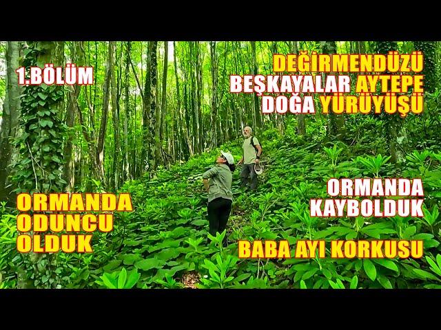 Değirmendüzü Aytepe Doğa Yürüyüşü 1. Bölüm | Ormanda Kaybolduk | Oduncu Olduk | Kocaeli Başiskele