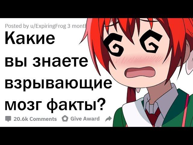 БЕЗУМНЫЕ ФАКТЫ, КОТОРЫЕ УДИВЯТ ДАЖЕ ТЕБЯ