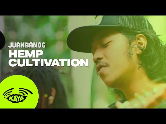 Juanbanog - "Hemp Cultivation" by Iya Terra (w/ Lyrics) - Kaya Trips