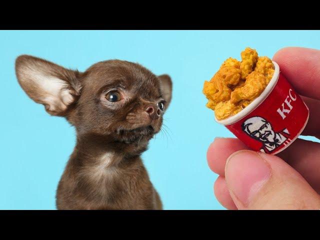 Making Tiny Foods for a Tiny Rescue Dog 