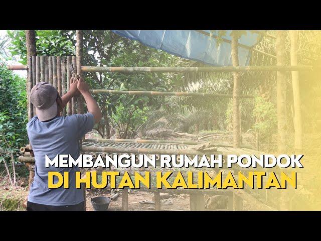 Hidup Sendirian Membangun Rumah Pondok  dan Bertahan Hidup Di Hutan Kalimantan