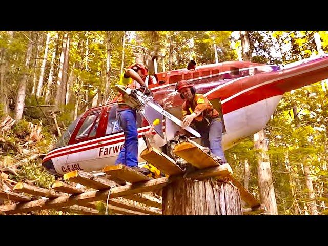 Epic Heli-logging skills | The BEST Air-crane footage yet | working with Dad