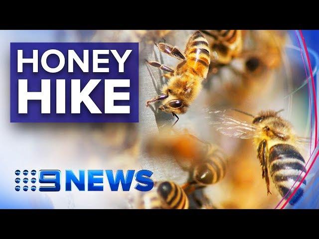 Why Australian honey is set for a price hike | Nine News Australia