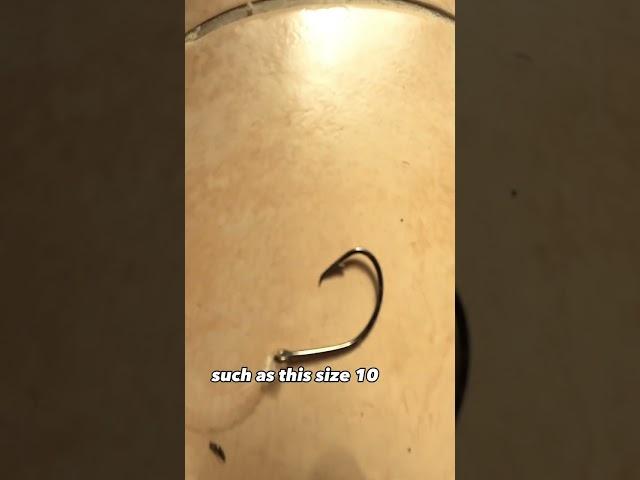 How To CATCH MULLET  (EASY and EFFECTIVE METHOD)