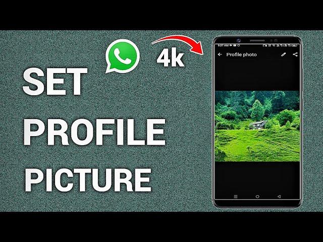 How to Set Whatsapp Profile Picture Without Losing Quality (2024) - Full Guide