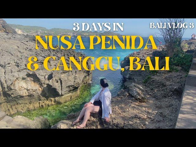 BALI VLOG 3: 3 Days in Nusa Penida & Canggu, Bali, Indonesia: Kelingking Beach, Motel Mexicola