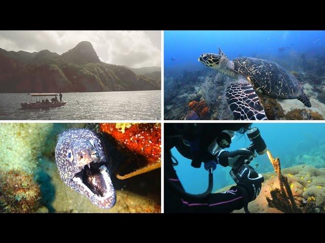 SeaLife Underwater Cameras | Scuba Diving the Island of Dominica with the Latest SeaLife Gear