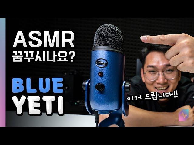 Microphone for Youtuber & Streamer, Blue Yeti