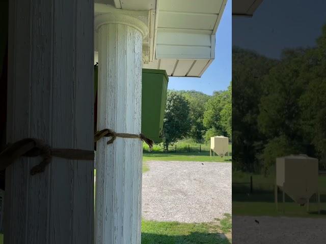 July Bee Swarm