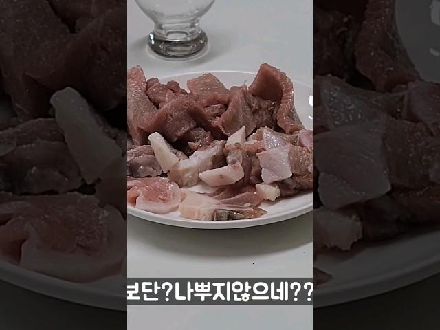 남자끼리 놀지마세요 이게 참치야??ㅋㅋㅋㅋㅋ#위스키#참치#여행
