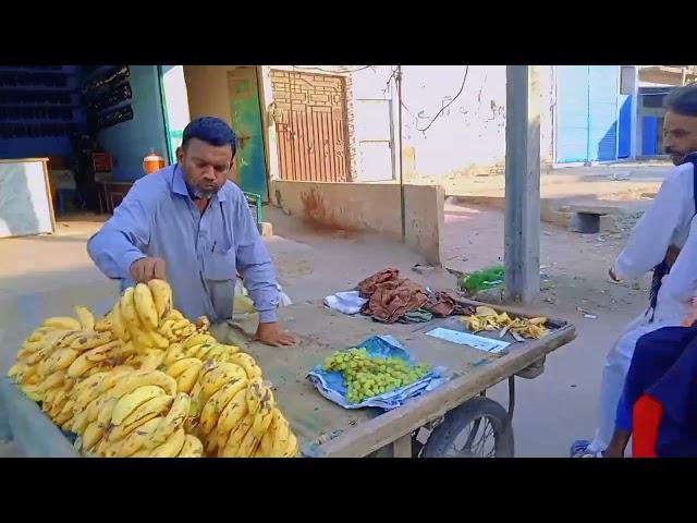 Visit of Tandoallahyar |Jameel Sindhi vlog