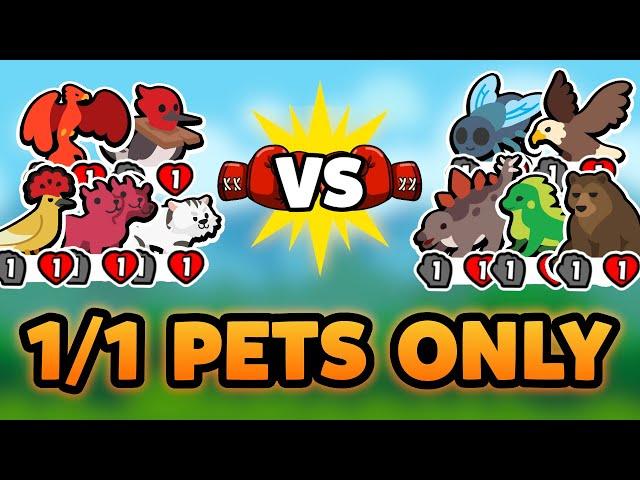 Super Auto Pets but we can only use 1/1 PETS