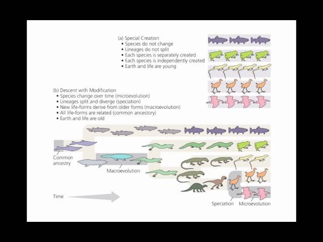 Evidence for Evolution