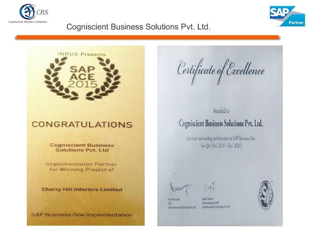 SAP Business One ERP Partner