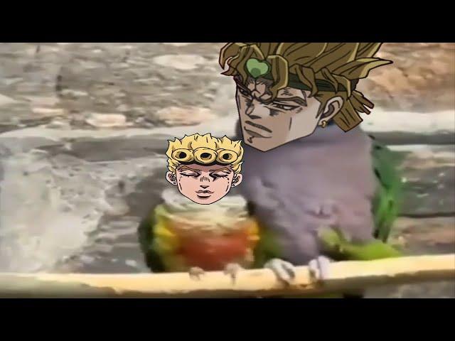 DIO Good Dad