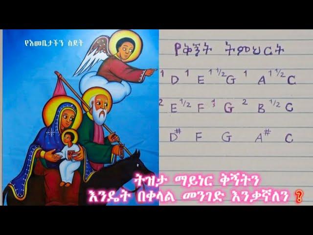 ትዝታ ማይነር ቅኝትን እንዴት በቀላል መንገድ እንቃኛለን? (ሜሮድያ ቲዩብ)