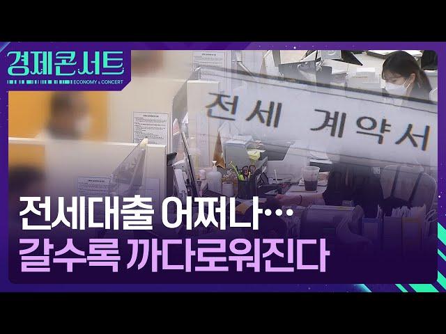 전세대출, 이대로면 점점 힘들어진다 [경제콘서트] / KBS  2024.10.31.