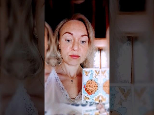 #картадня 23.07 ️ #колесофортуны #таро #tarot #картатаро #астрология @taroskyprincess #shorts