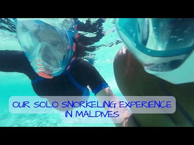 We did solo Snorkeling in MALDIVES | Rasdhoo Islands #snorkeling #maldives