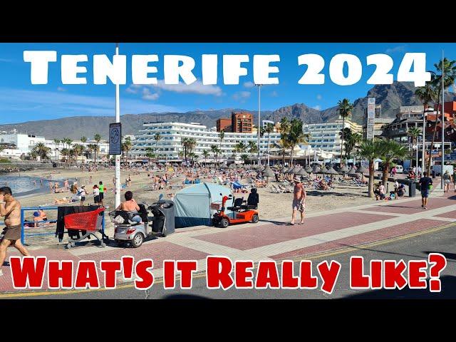Tenerife 2024 (What's Really Like)