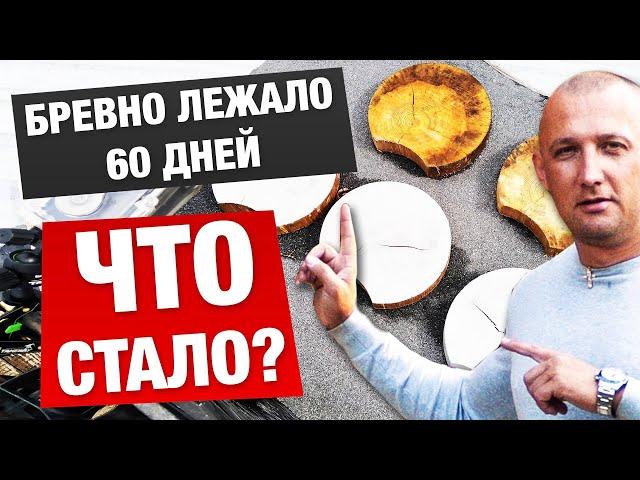 ЗИМНИЙ И ЛЕТНИЙ ЛЕС. КАК НАС ОБМАНЫВАЮТ?