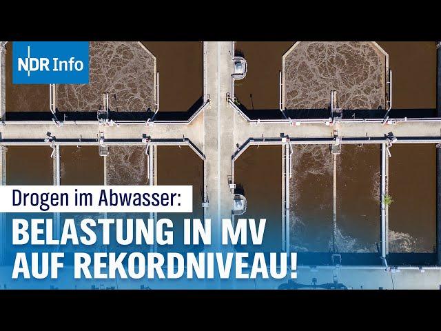 Speed, Kokain und andere Drogen im Abwasser: Konsum in MV erreicht Berliner-Niveau | NDR Info