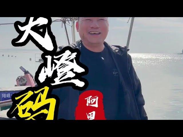 去大嶝码头寻找海鲜好料