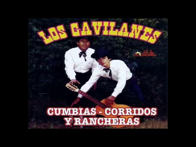 Los gavilanes completo