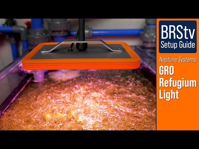 How to Setup the Neptune GRO Refugium LED Light in 4-Steps.