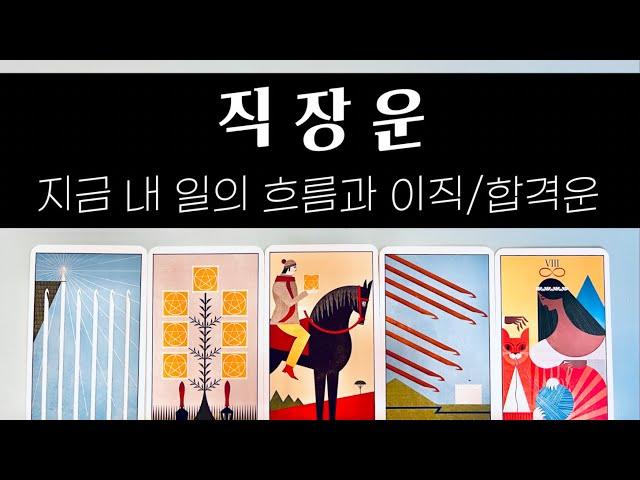 #직장운 타로 / 지금 하는 일의 흐름  #이직운