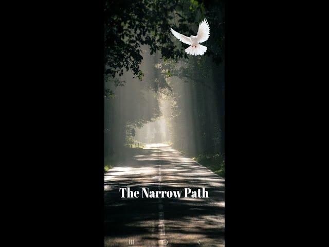 The Narrow Path Application