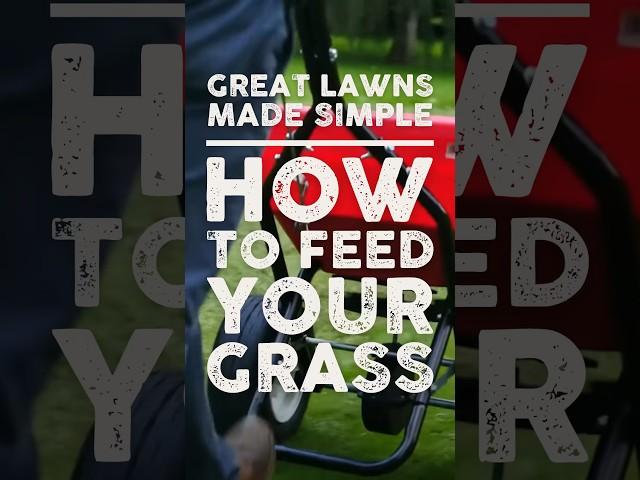 How to Feed Your Grass