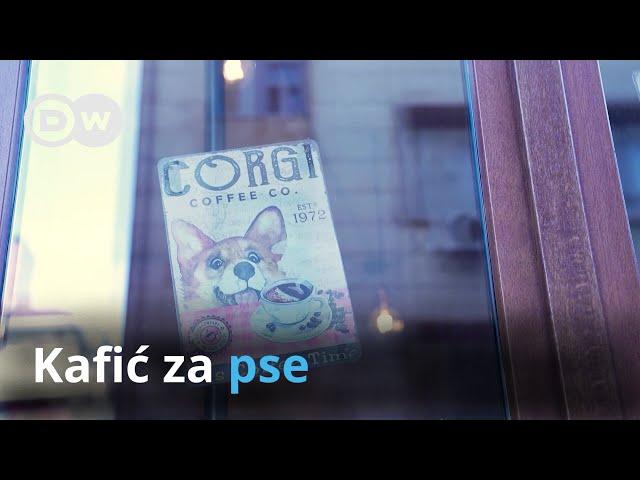 Prvi kafić za pse u Bugarskoj