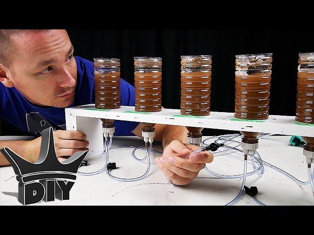 HOW TO: DIY brine shrimp hatchery