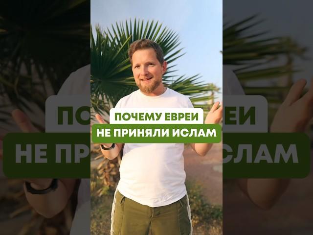 Иудеи не приняли пророка ️️ #иудаизм #ислам #религия #история