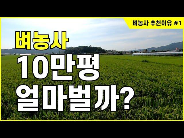 68. 벼농사 10만평 얼마나 벌까? 수익은? 귀농인에게 벼농사를 추천 하는 이유와 성공방법 1부