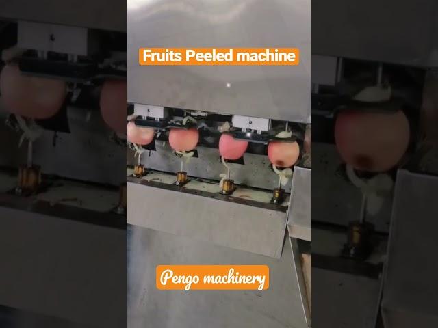 Fruits peeled machine fruits machine food machine