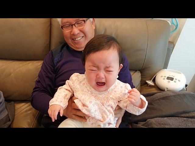 What is the reaction of a Korean baby who met her grandfather after a long time?